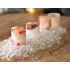 Beaumont 4 Section Silicone Ice Shot Glass Mould
