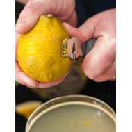 Beaumont Zester And Canale Cutter