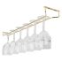 Beaumont Glass Hanger 24 Inch Brass
