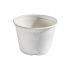 4oz Bagasse Portion Pots Box 1500