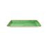 Java Rectangular Tray Eden Green 25x10cm