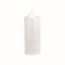 Disp Bottle Natural Squeeze Bottle (32oz) - Each