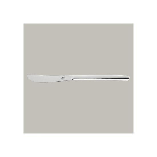 Fine Dinner Knife MB Qty 12 IG CFIDIKMBS Fine Dinner Knife MB Qty 12 IG CFIDIKMBS