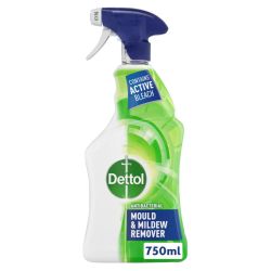 Dettol Mould And Mildew Remover 750ml