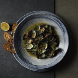 Finca Limestone Nova Plate 10 Inch Finca Limestone Nova Plate 10 Inch