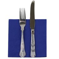 Regatta Blue 33cm 2ply Napkins - Pack Of 100