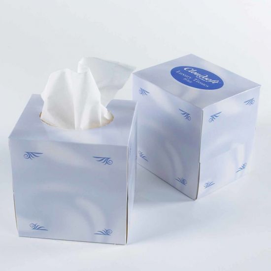 Cloudsoft 2ply Cube Tissues - 24 Packs Of 70 Tissues PAP6001