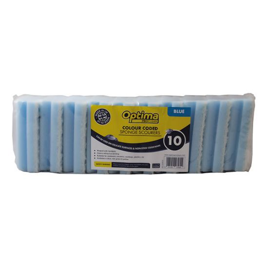 Blue Non-Scratch Sponge Scourers - Pack Of 10 CAT3008