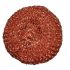 Copper Coated Scourer 20g - Pack of 20