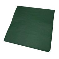 25cm 2Ply Serviettes - Mountain Pine Pack of 250