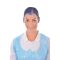 Lion Haircare Hair Net Light Blue (Pack Of 50)
