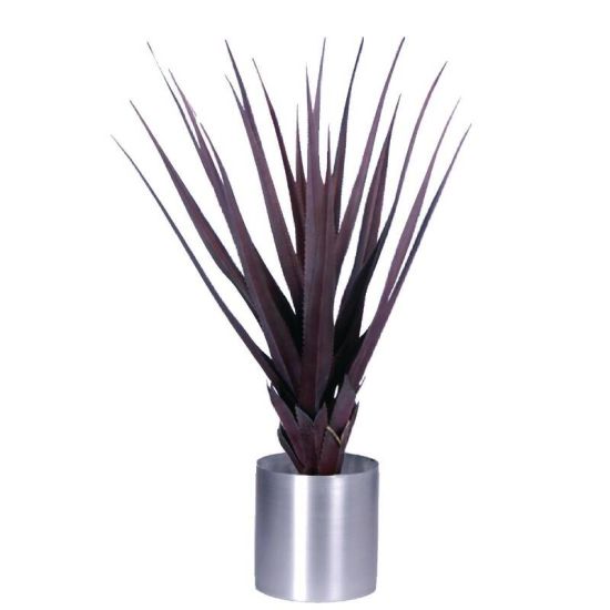 Pandanus Red 900mm URO CC503