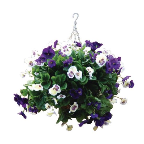 Purple And White Pansy Ball URO CG570