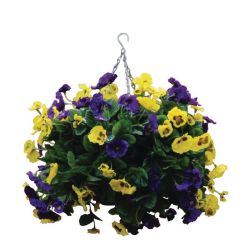 22 Inch Purple and Yellow Artificial Pansies Ball