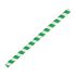 Fiesta Green Compostable Paper Smoothie Straws Green Stripes (Pack Of 250)