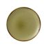 Dudson Harvest Evolve Coupe Plates Green 288mm (Pack Of 12)