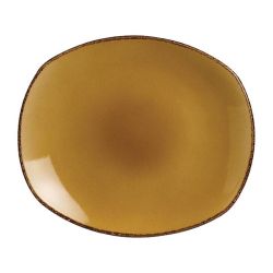 Steelite Terramesa Mustard Spice Plates 305mm (Pack Of 12)
