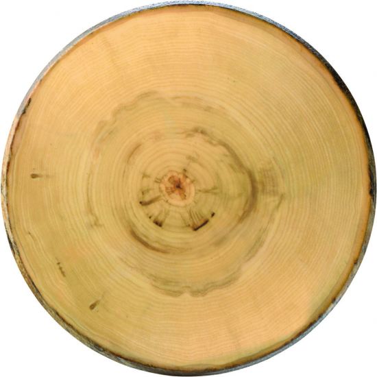 Elm Footed Round Platter 13.5 Inch (35cm) Box Of 2 UTT JMP035-000000-B01002